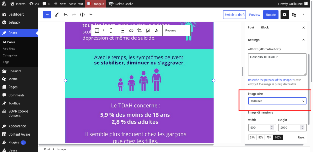 Backoffice de WordPress montrant une image et les paramètres du bloc Image. La zone "Taille de l'image" est encadrée.